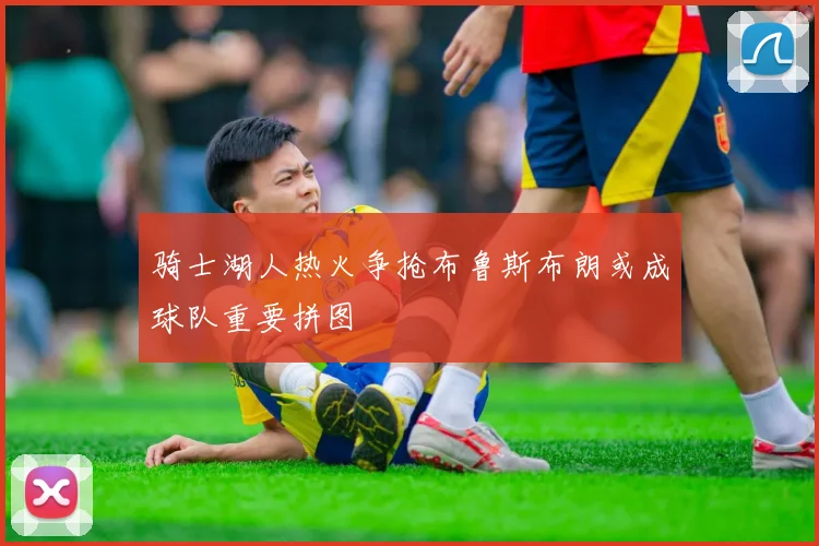 骑士湖人热火争抢布鲁斯布朗或成球队重要拼图